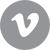 Vimeo Icon